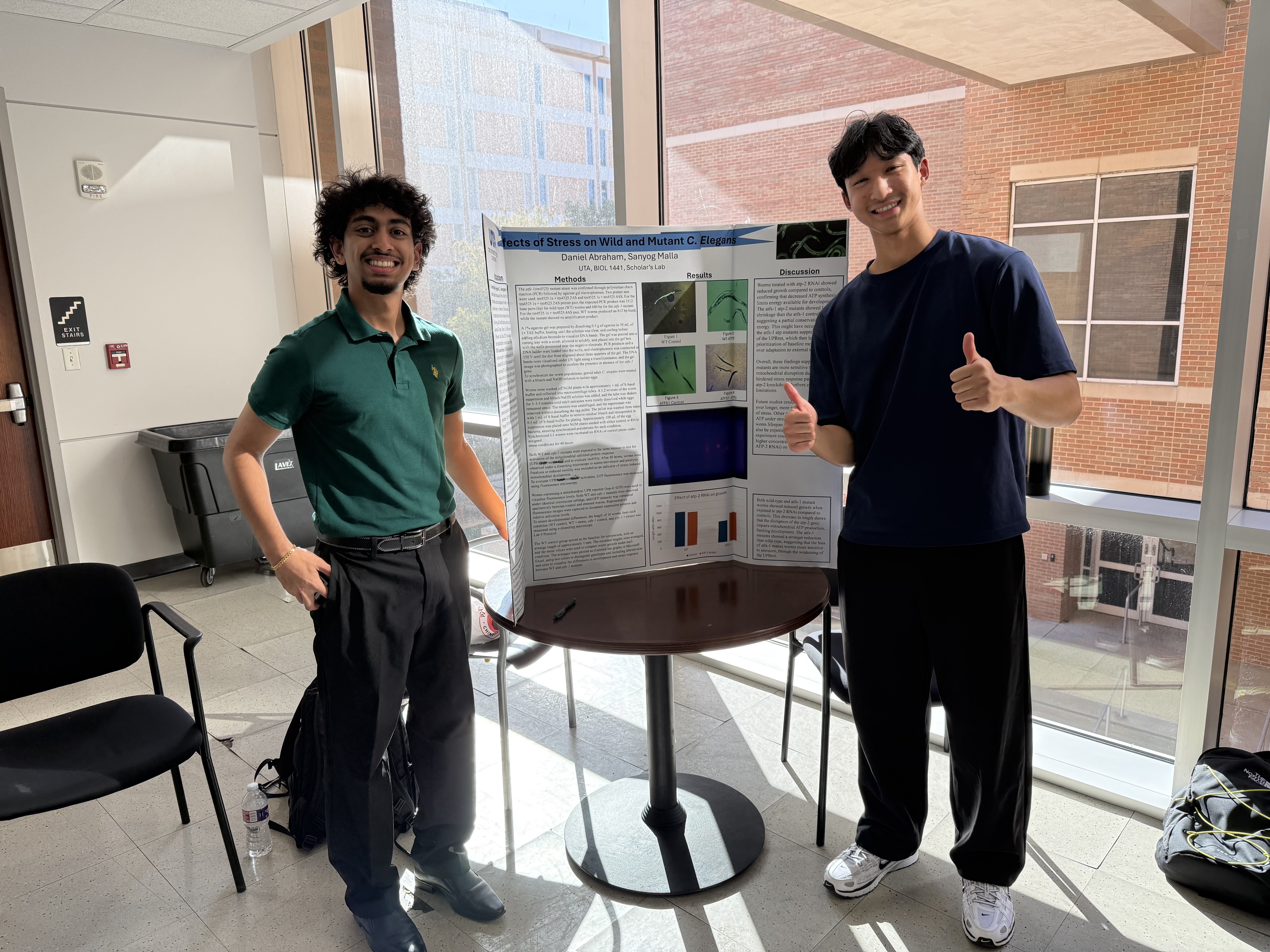 Two young men stand on either side of a scientific poster display in a sunlit room, both smiling and giving a thumbs-up gesture.