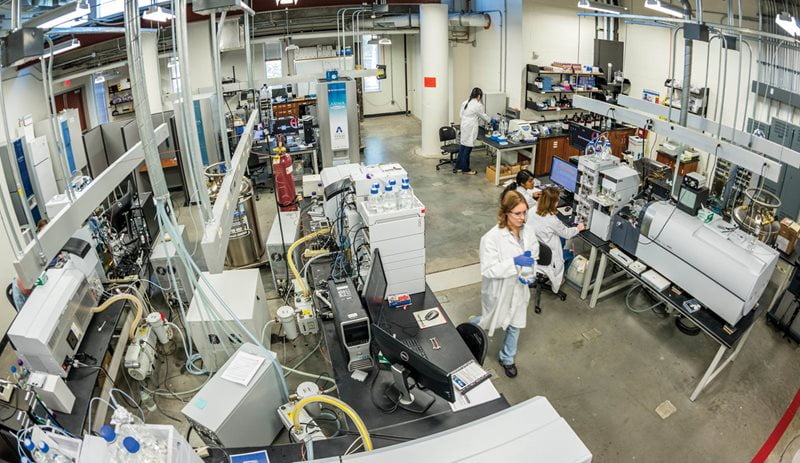 Researchers working in a lab