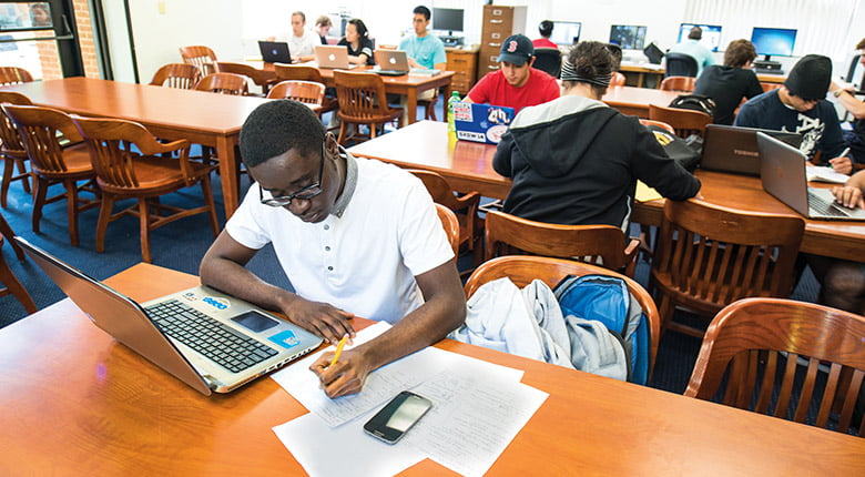 Student studying in the Honors College