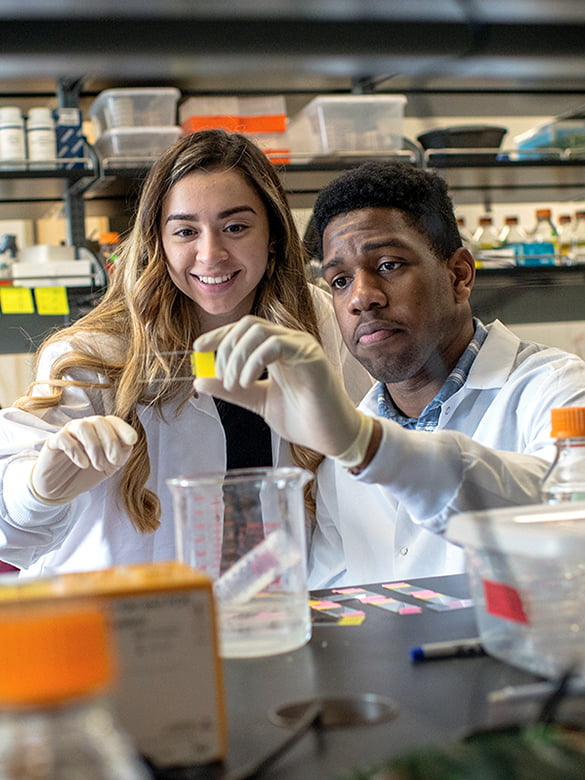 Undergraduate researchers looking at slide