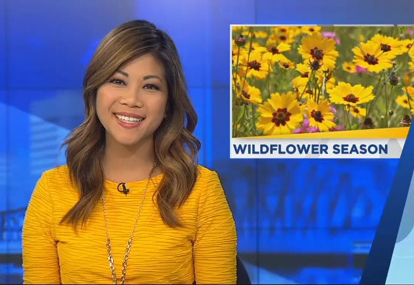 Elizabeth Dinh on the air as a news anchor. Top right picture on news screen depicts wildflower season." src="https://cdn.prod.web.uta.edu/-/media/project/website/alumni/stories/q-and-a/elizabeth-dinh/elizabeth-dinh-onair.jpg?la=en" _languageinserted="true