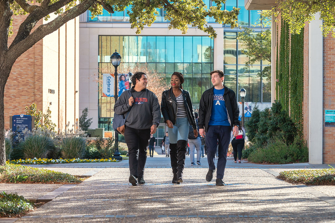 Picture of students on campus