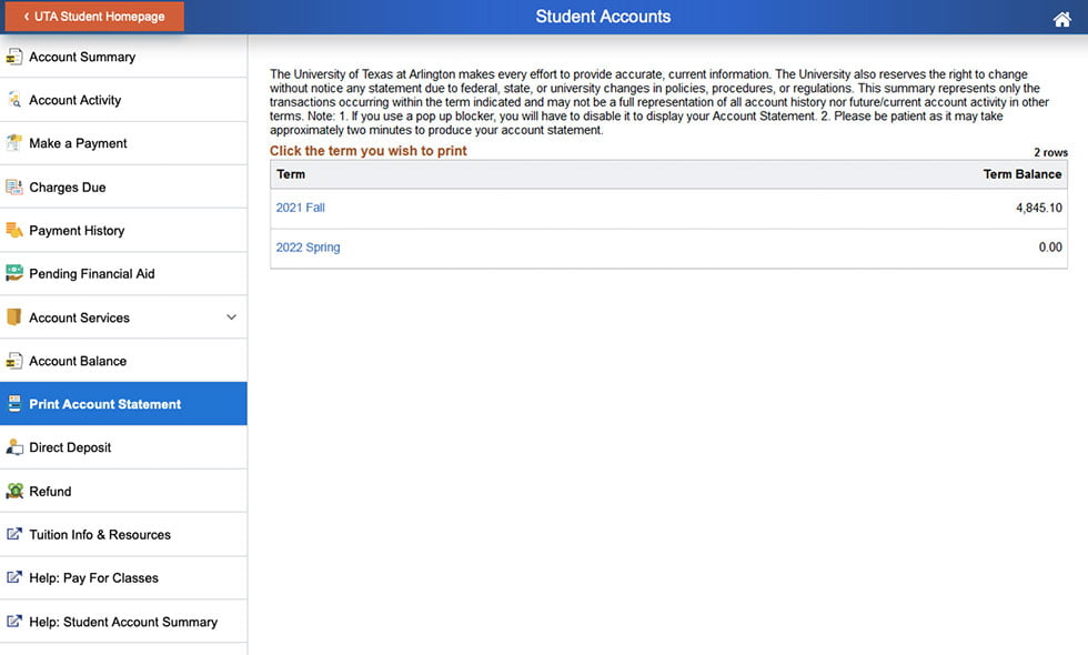 Print Account Statment page 2