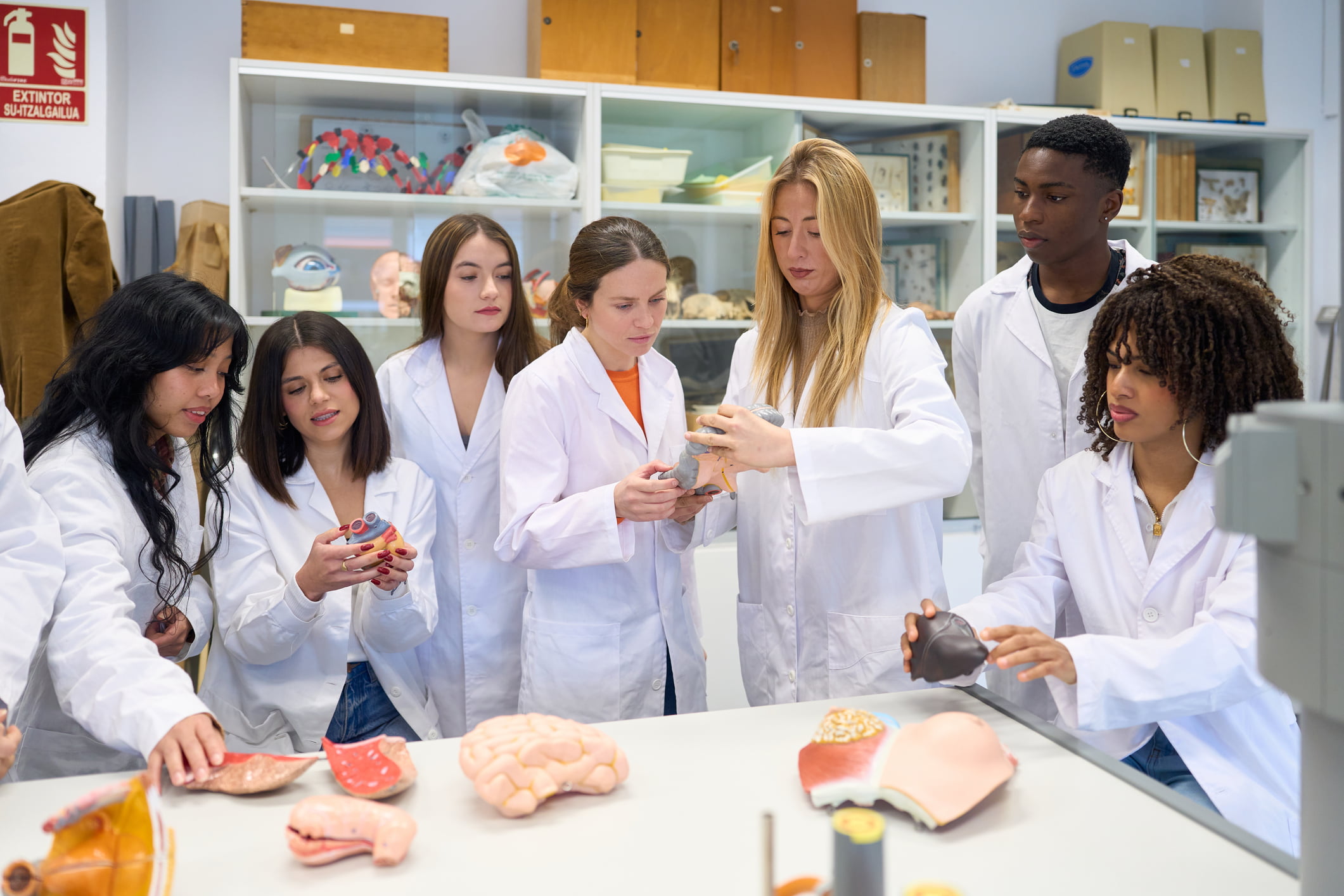 Advanced Medical Students