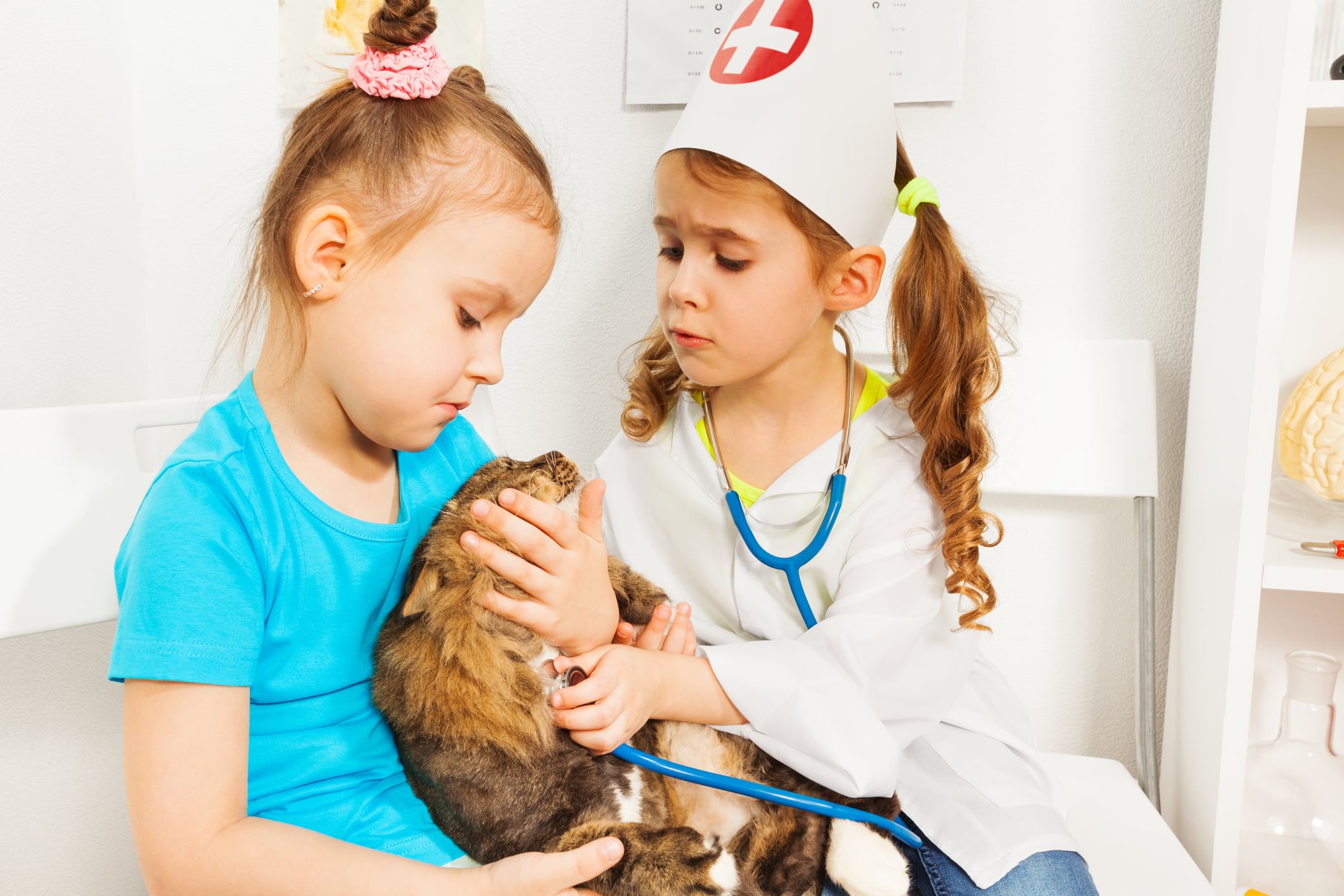 Kid veterinarians
