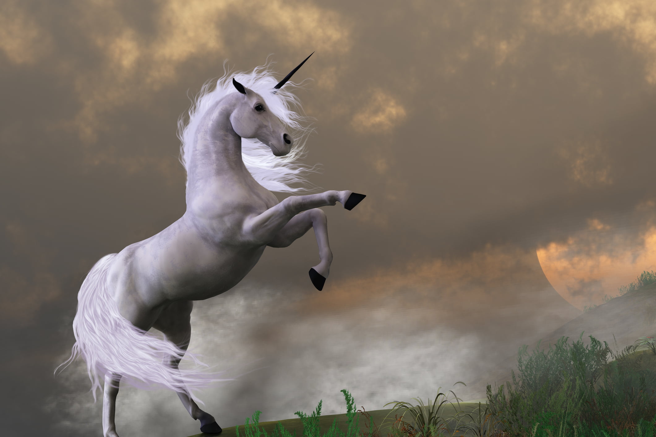 Picture of unicorn