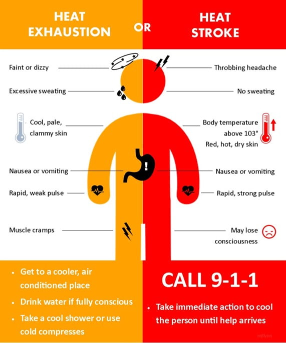 Heat Exhaustion or Heat Stroke
