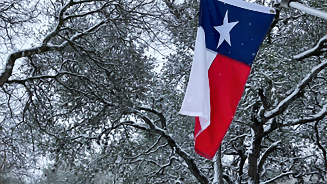 texas flag in snowy trees