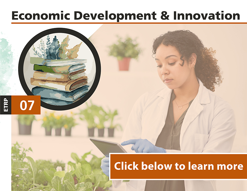 Economic Development and Innovation