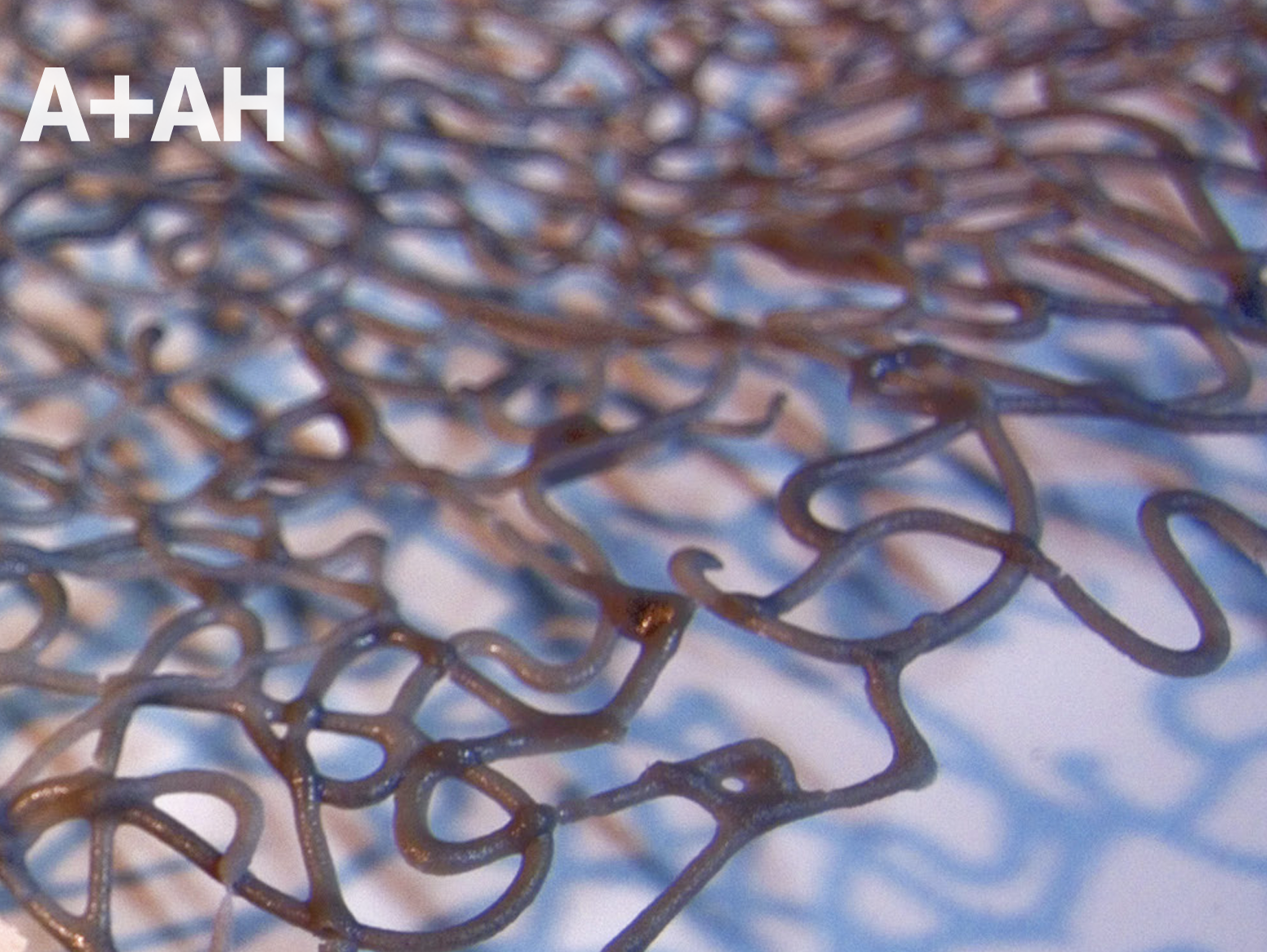 2012 Folio Thumbnail