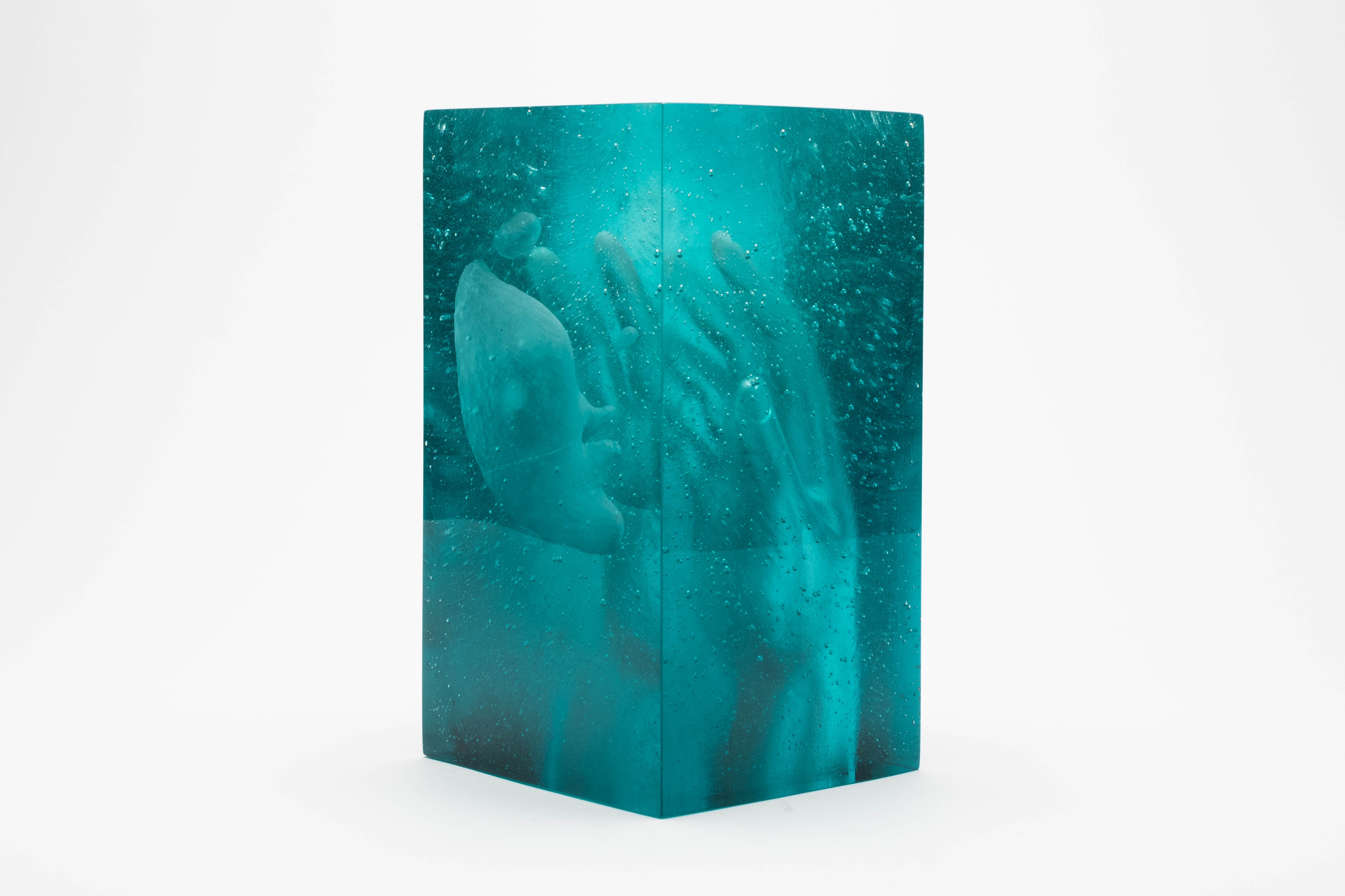 Phoenix - My Hellis Your High Water