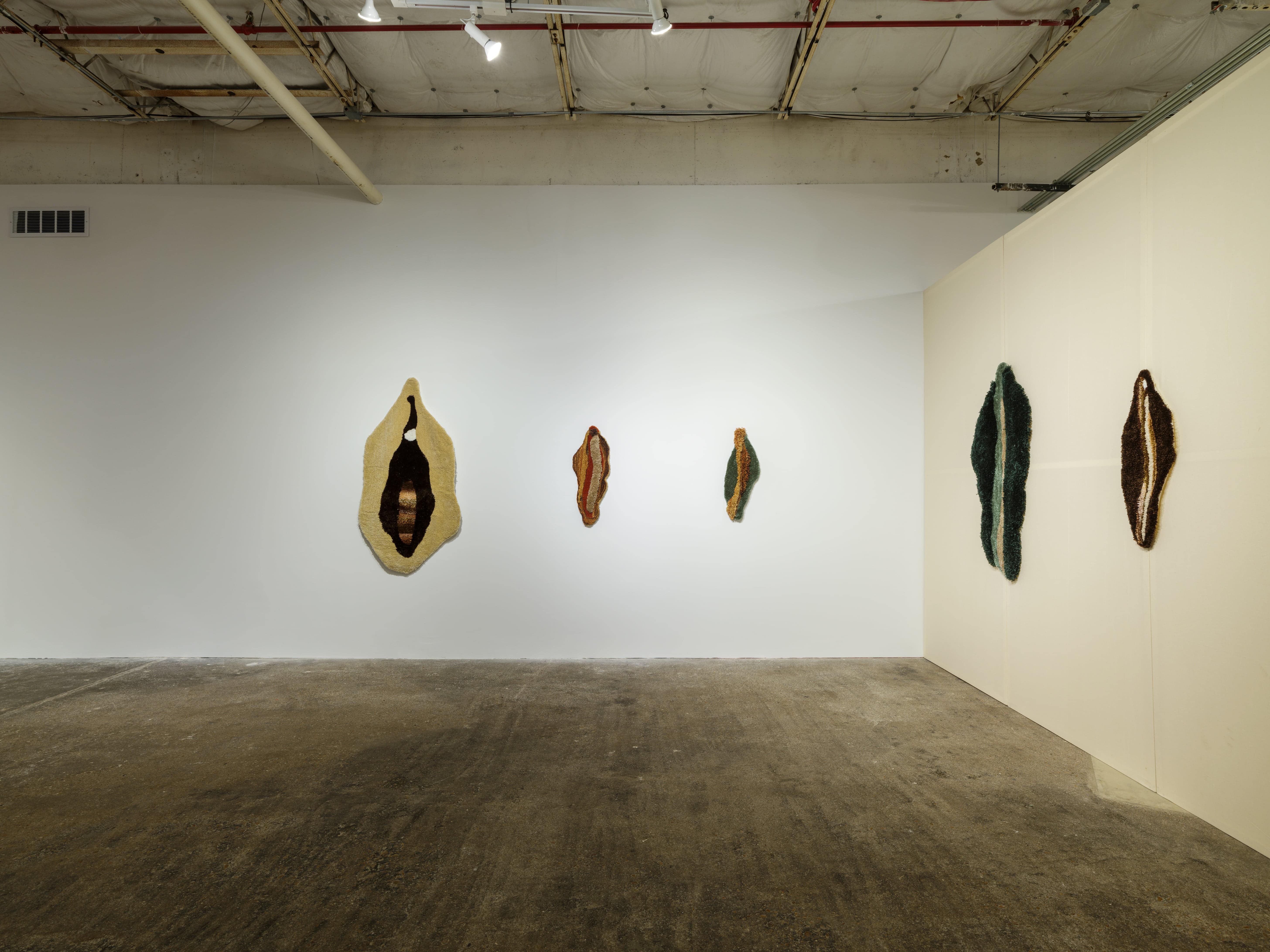 Open University Photo Kevin Todora for Dallas Contemporary Artwork pictured Lisa Clayton
