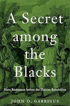 "A Secret Among The Blacks" cover. A colored overlay is added to the drawing of the cover; the drawing seems to be from a long time ago. It is of a group of black people gathered in nature.