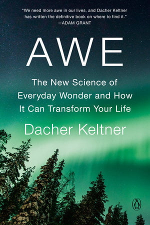 Cover of Dacher Keltner's book AWE: The New Science of Everyday Wonder and How It Can Transform Your Life. It has the Northern lights behind silhouetted trees.