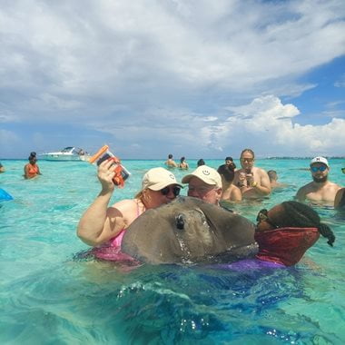 denise hayes news photo