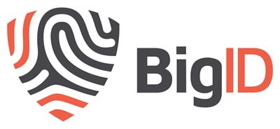 BigID Logo