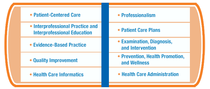 Patient-Centered Care, Interprofessional Practice and Interprofessional Education, Evidence-Based Practice, Quality Improvement, Health Care Informatics, Professionalism, Patient Care Plans, Examination, Diagnosis, and Intervention, Prevention, Health Promotion, and Wellness, Health Care Administration