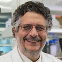 Portrait of Marco Brotto in the Bone Muscle Lab