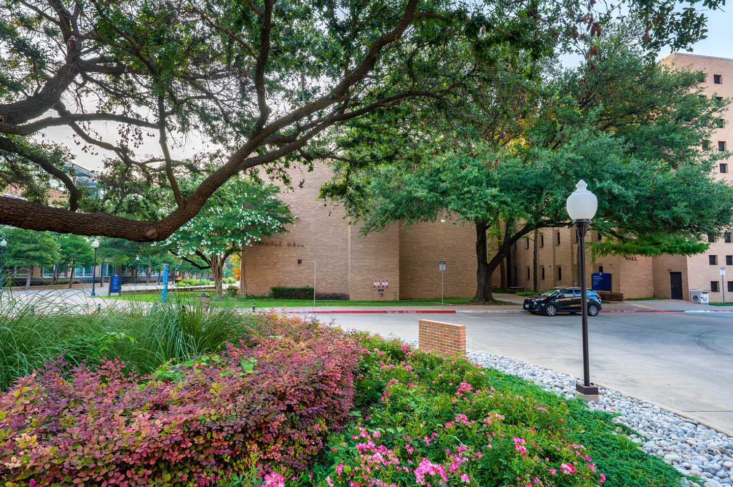 University of Texas at Arlington campus