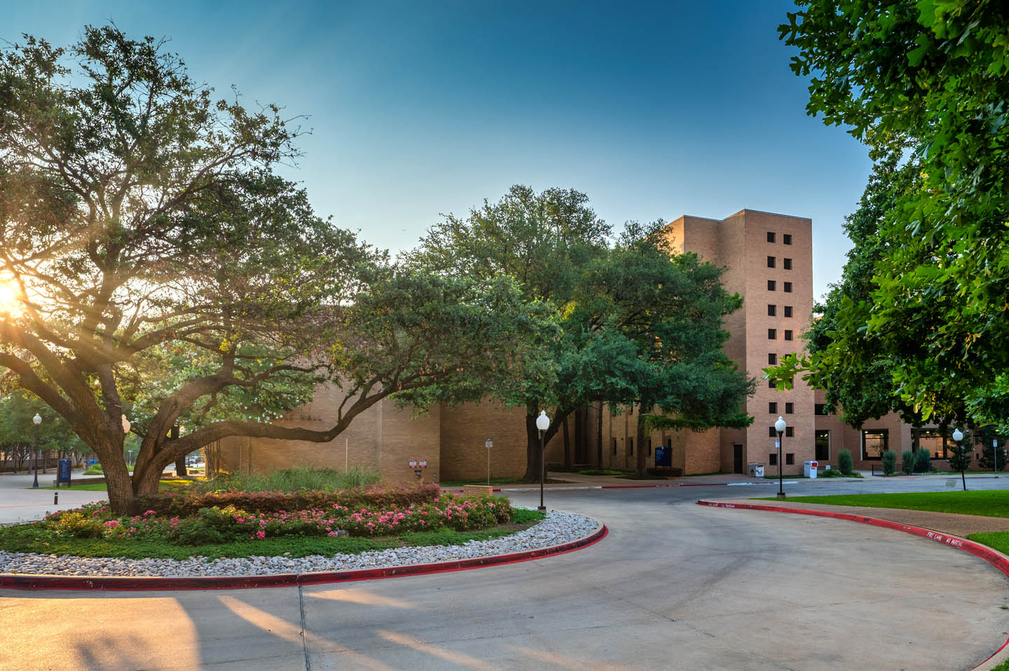 Pretty photo of the University of Texas at Arlington campus