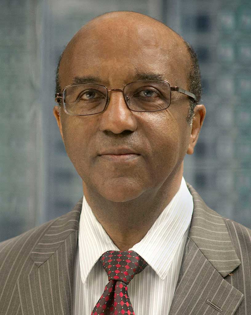 Dereje Agonafer, PH.D., NAE