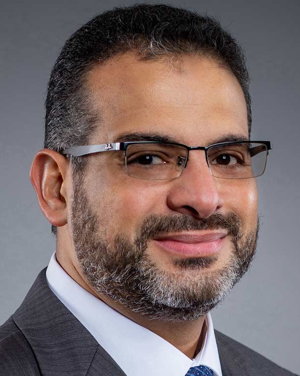 Ashraf Aboulnaga, Computer Science and Engineering