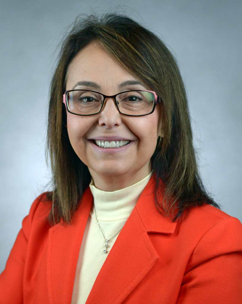 Zeynep Celikr, Ph.D., Electrical Engineering