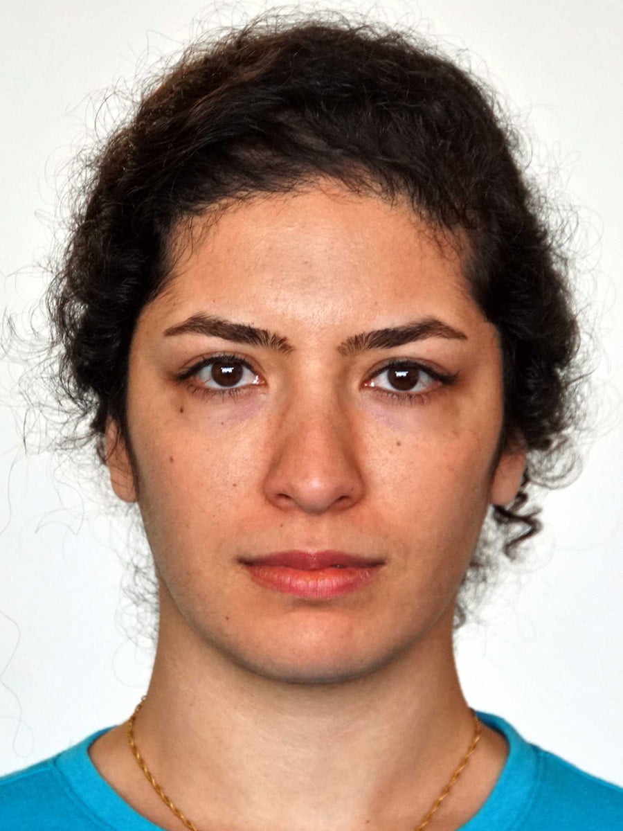 Negin Fraidouni