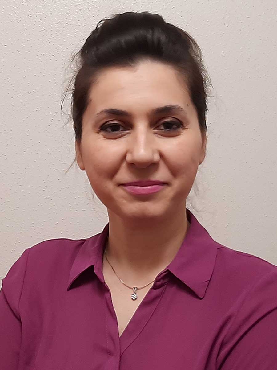 Nillofar Parsaeifard, Ph.D., Civil Engineering