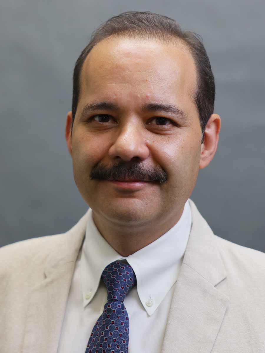 Mohsen Shahandashti, PH.D.