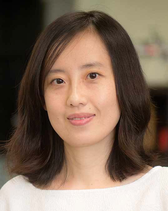 Yan Wan, Ph.D., Electrical Engineering