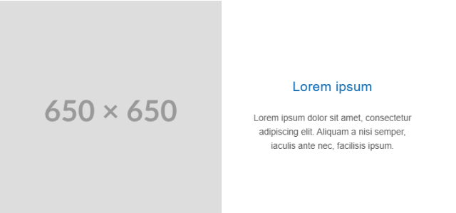 2 Column Image Left