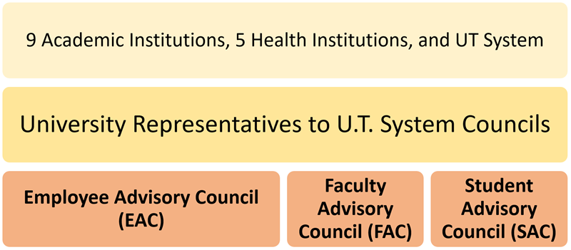 infographic breaking down the u t system information