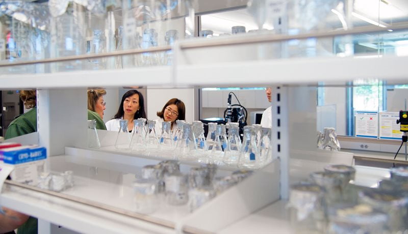 Science students in research lab