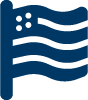 USA Flag icon