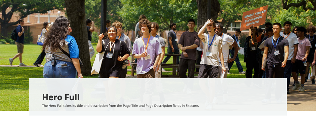 a screenshot of the hero image full sitecore component