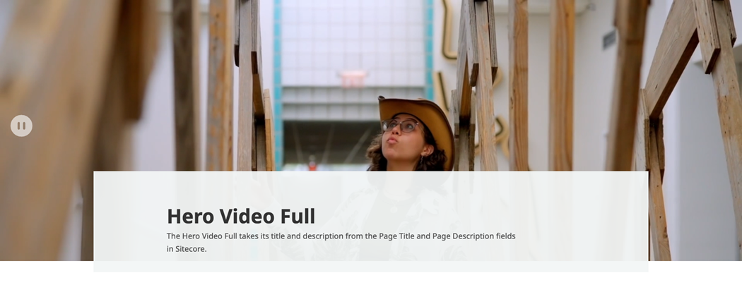 a screenshot of the Hero Video Full sitecore component