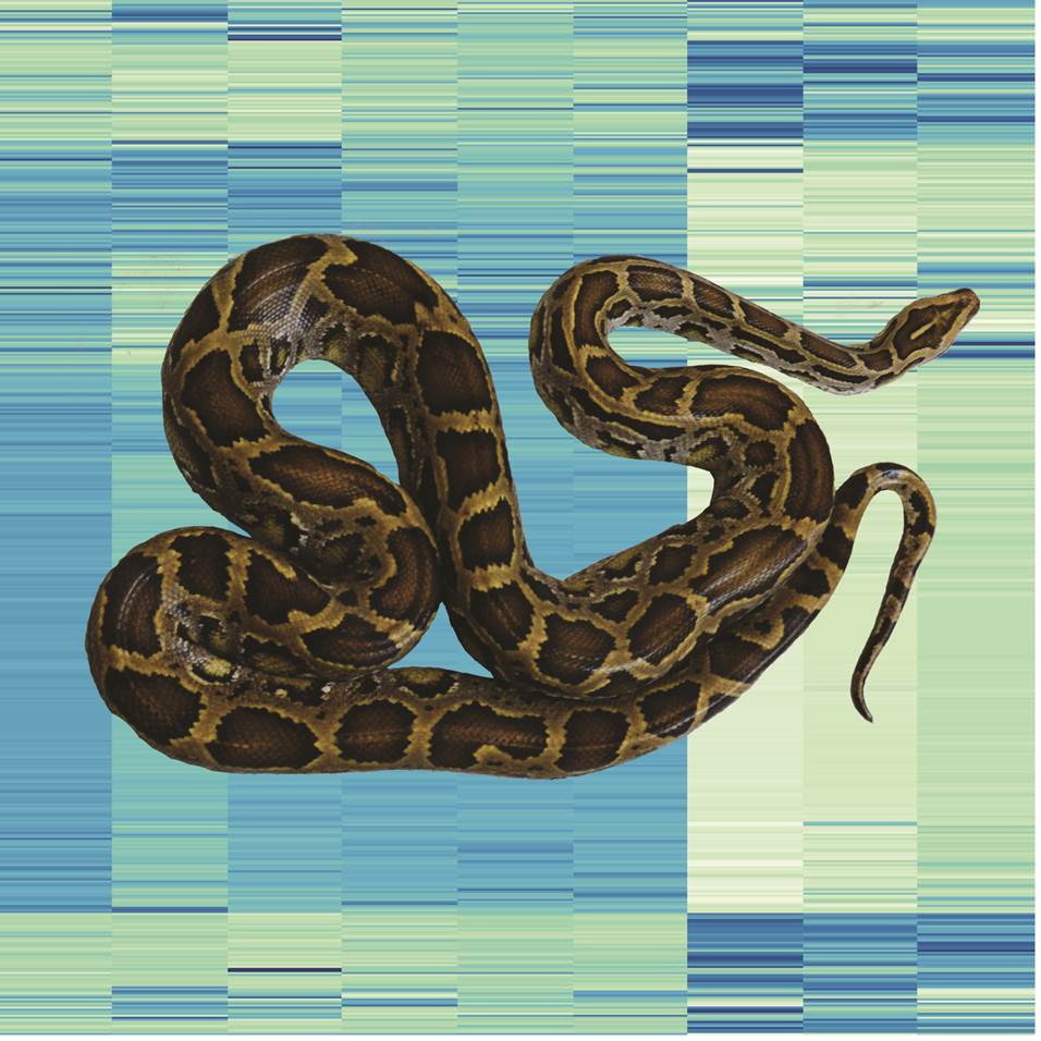University of Texas at Arlington researchers use supercomputers to ...