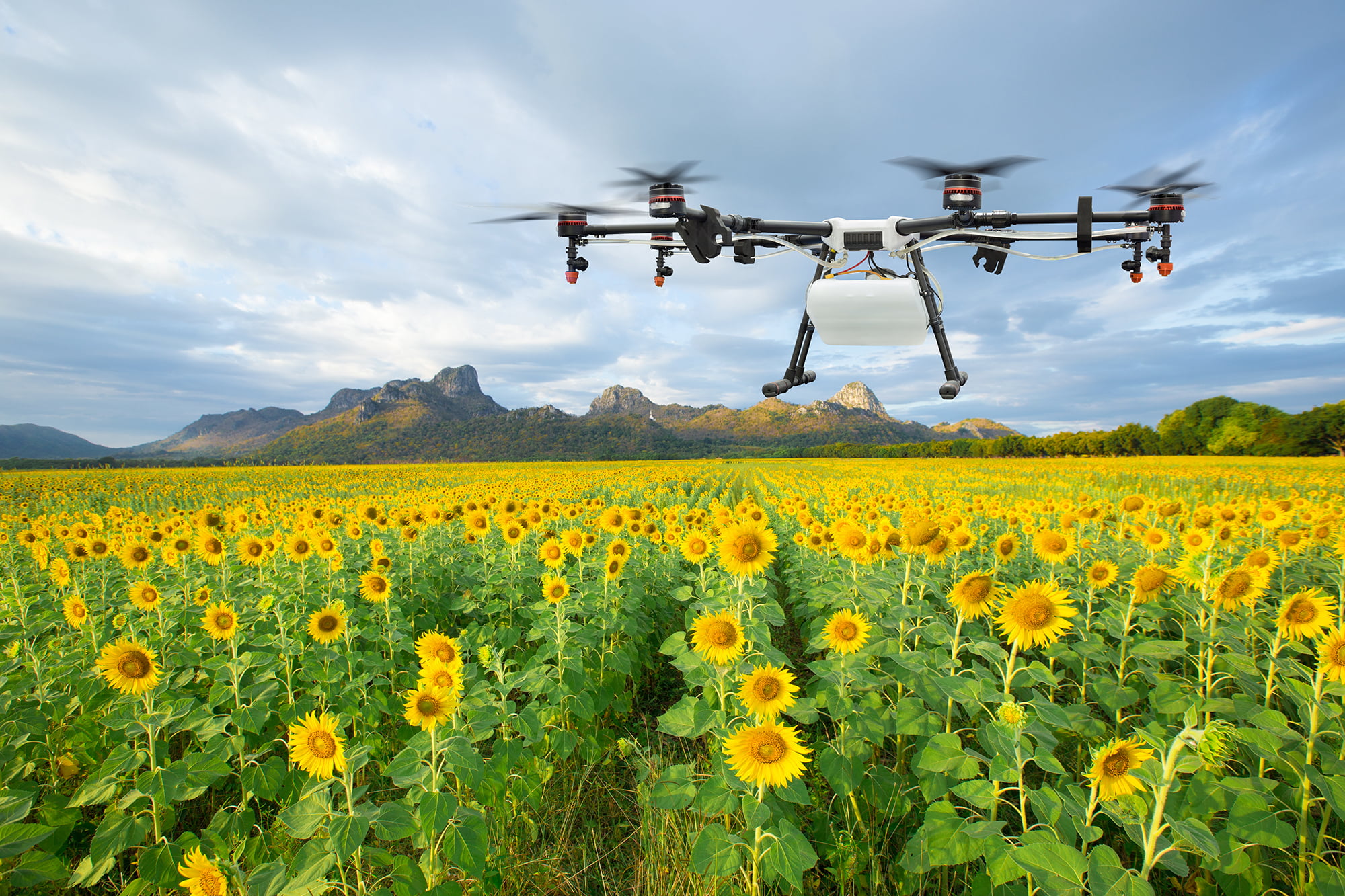 unmanned aerial vehicles in agriculture