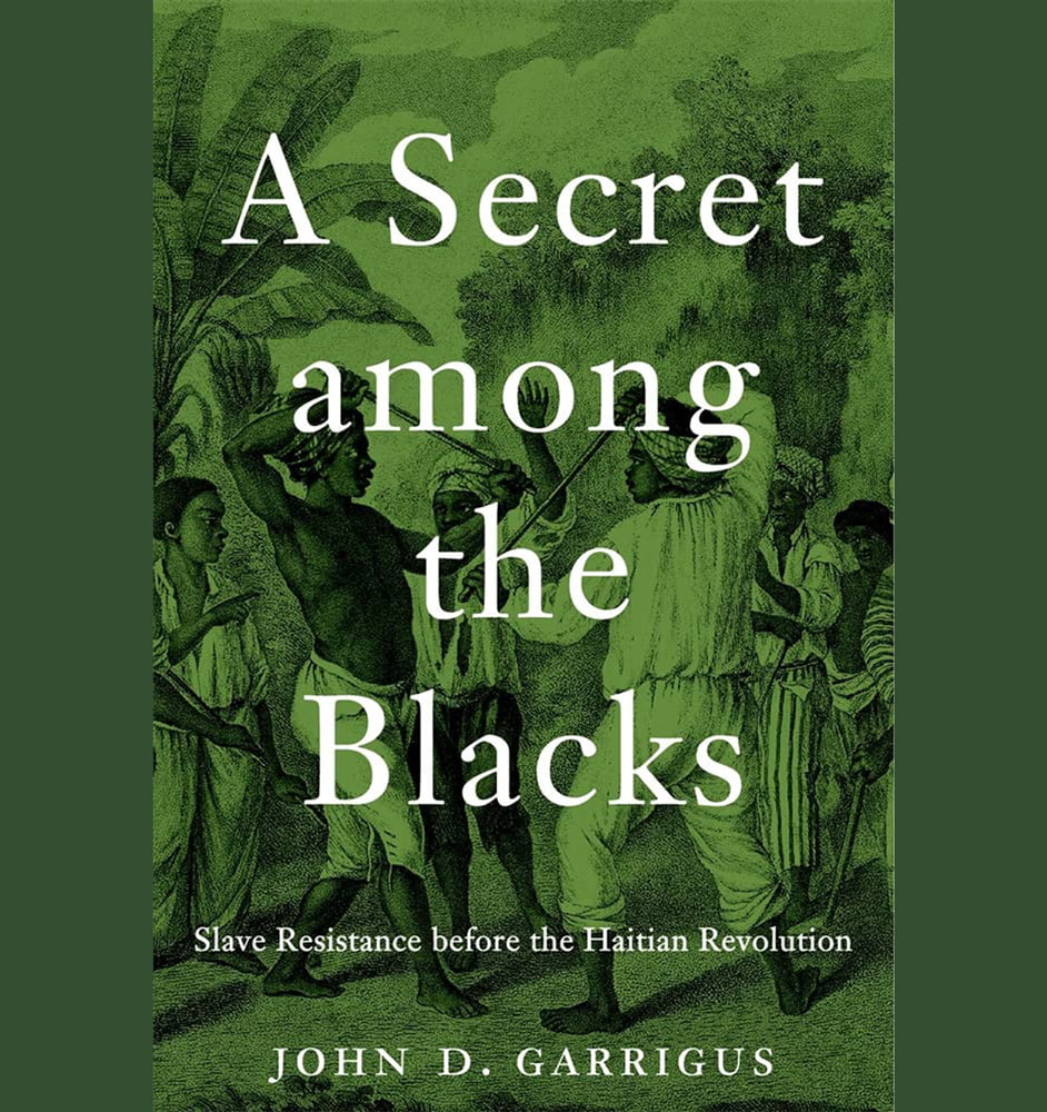 A Secret Among the Blacks book cover
