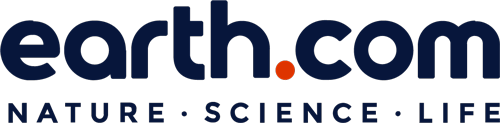 Earth dot com