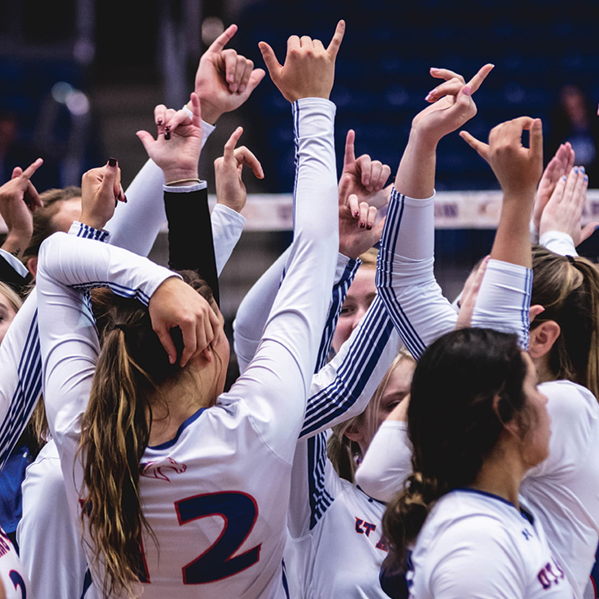 UTA volleyball