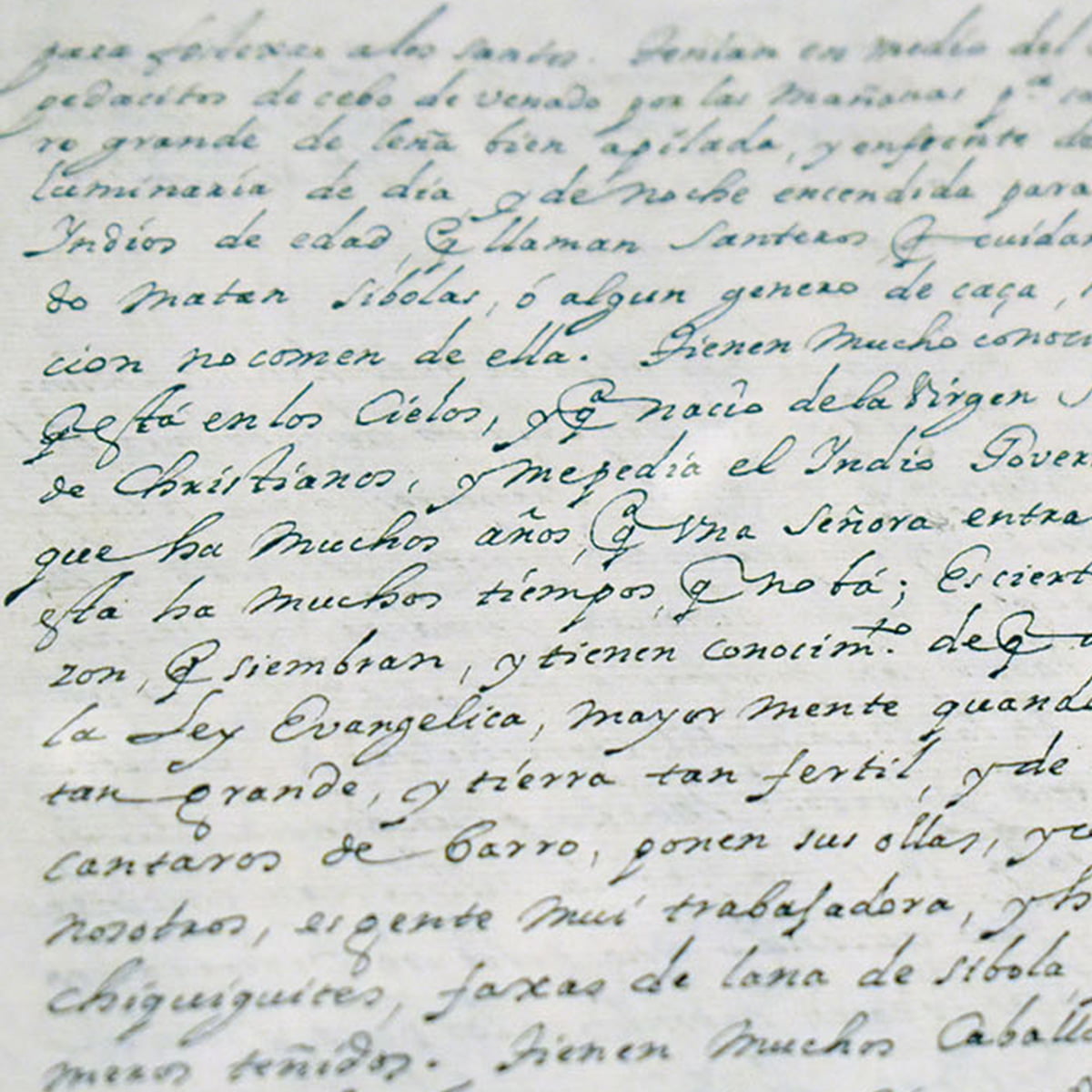 letter written by Alonso de Leon