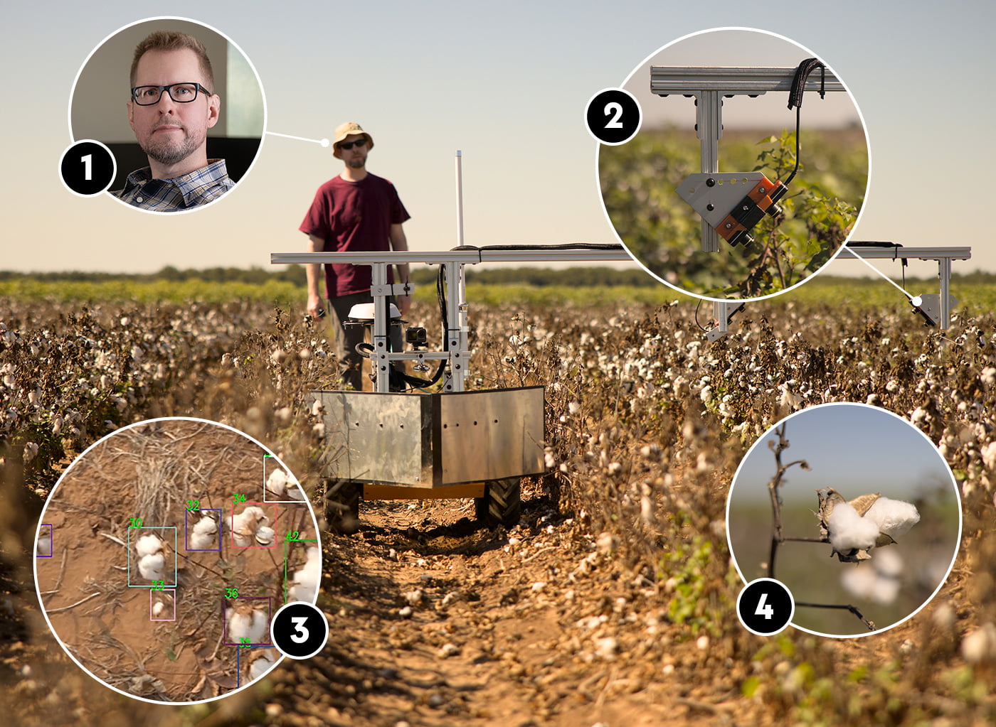West Texas cotton fields