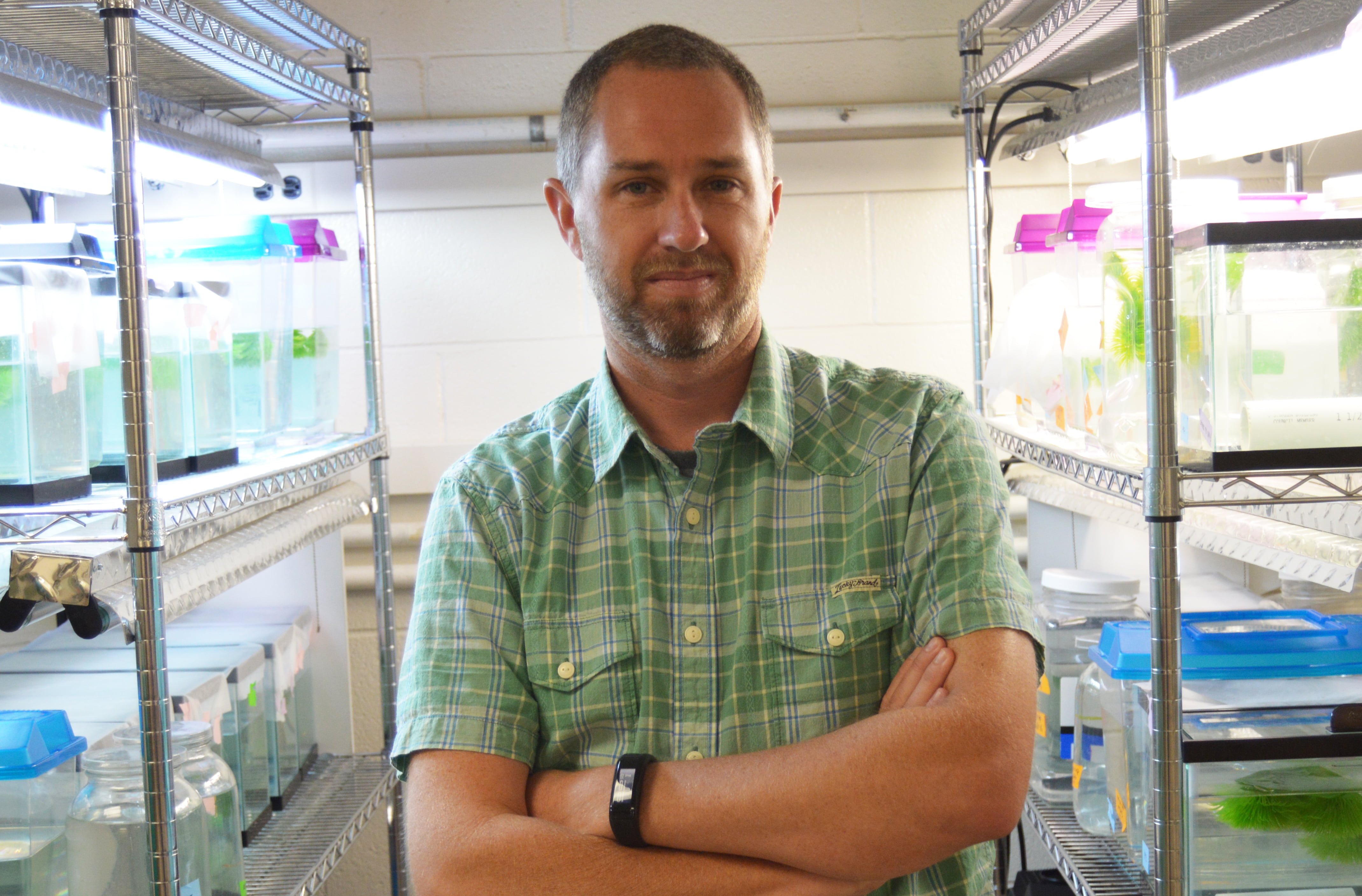 Matthew Walsh, an associate professor of biology" _languageinserted="true