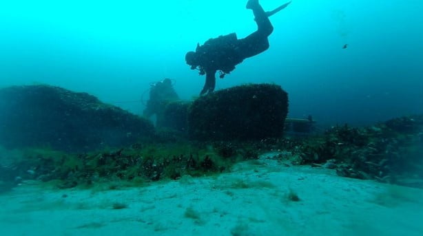 scuba diver at hunting structure" _languageinserted="true