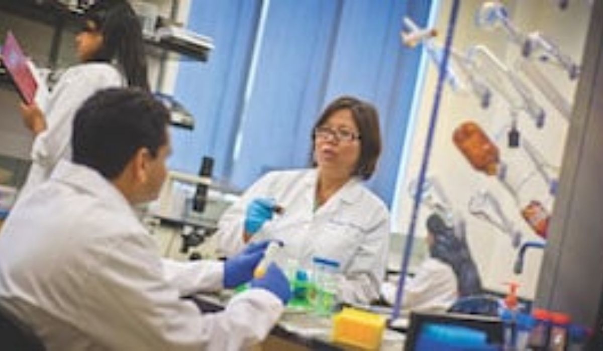 Kytai Nguyen" _languageinserted="true