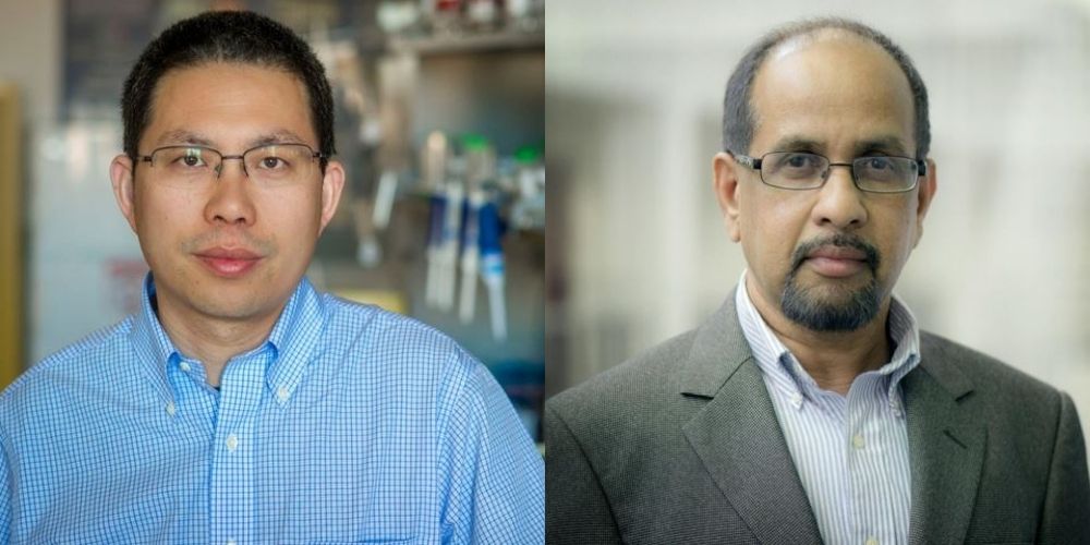 Yi Hong (left) and Muthu Wijesundara" _languageinserted="true