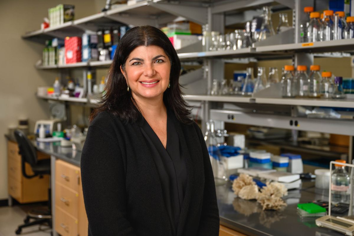 Laura Mydlarz" _languageinserted="true