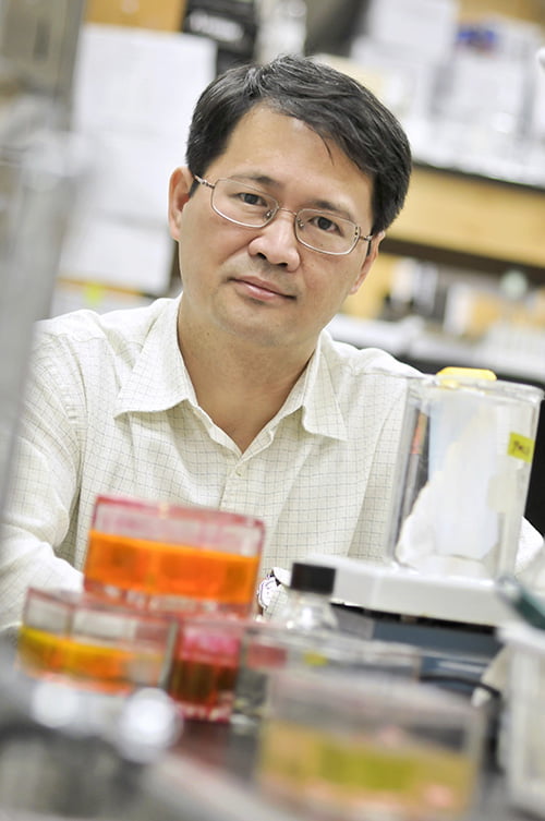 Liping Tang" _languageinserted="true